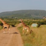 10 Thrilling places to visit in Narok county